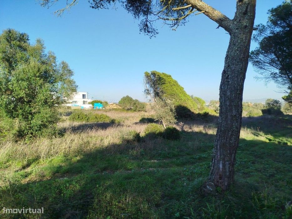 Terreno para venda em Alcolombal - Terrugem - Sintra