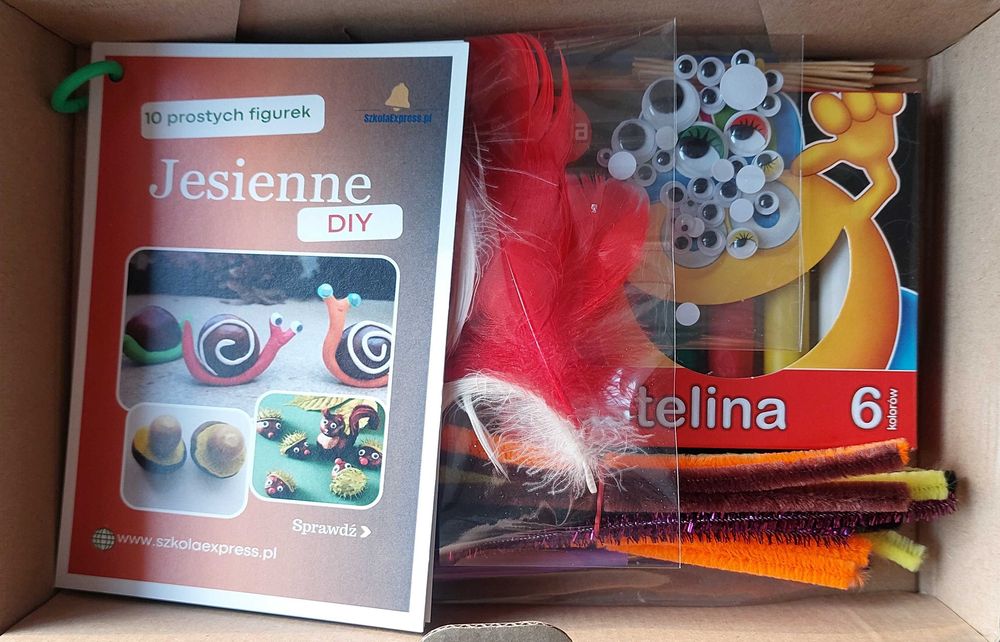 Zestaw DIY - kreatywne figurki z kasztanów. Świeże kasztany w zestawie