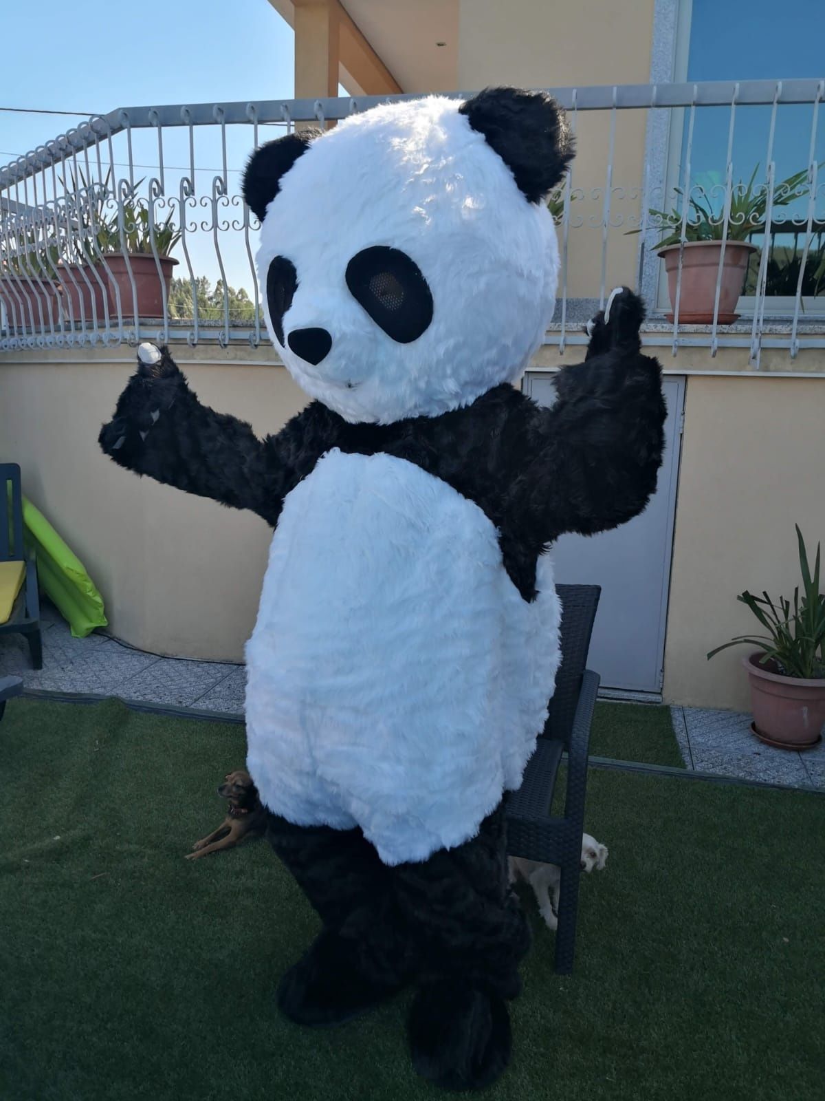 Mascote Fato Panda