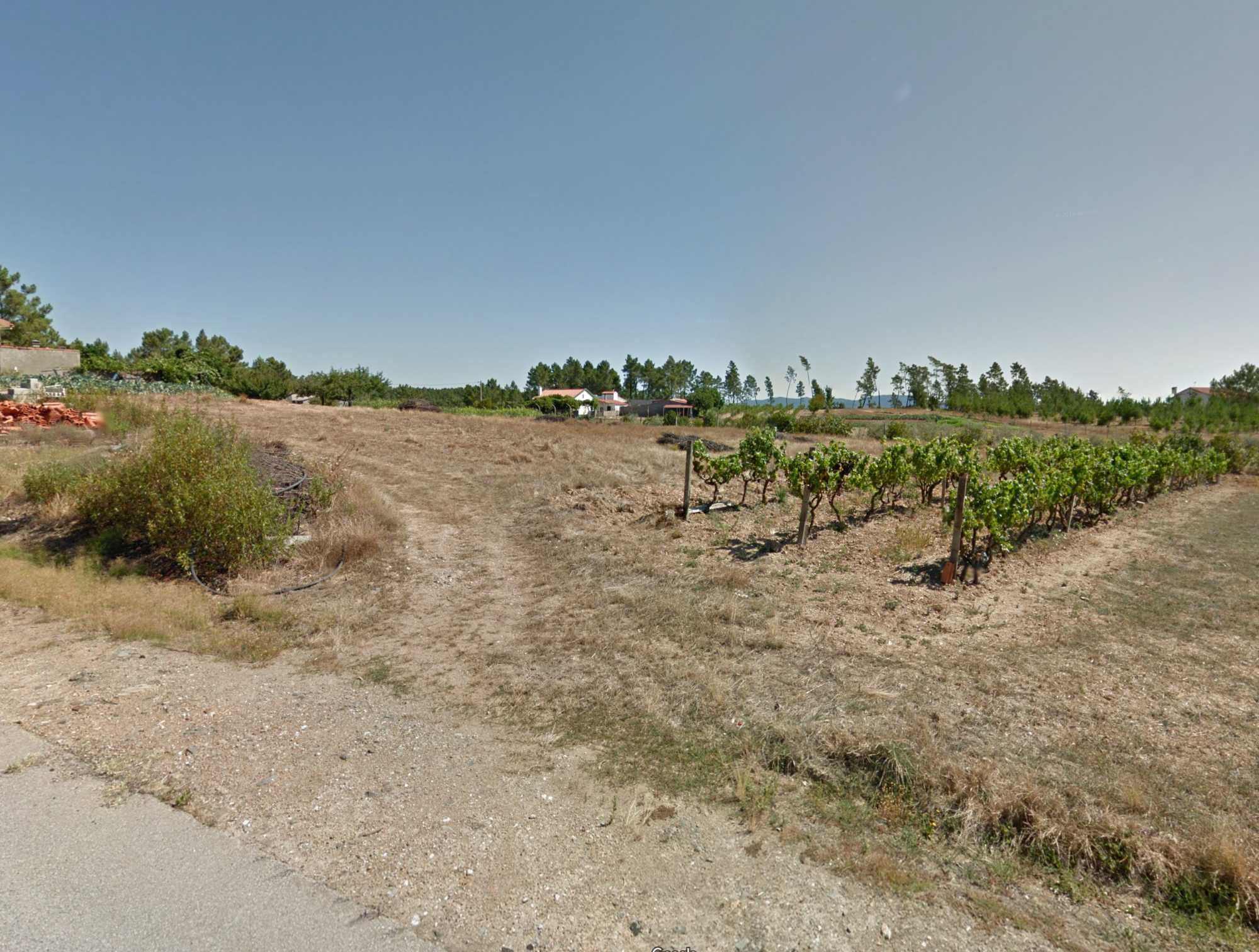 Terreno em rua da Estrada Velha, 10, Espinho, Proença-a-Nova
