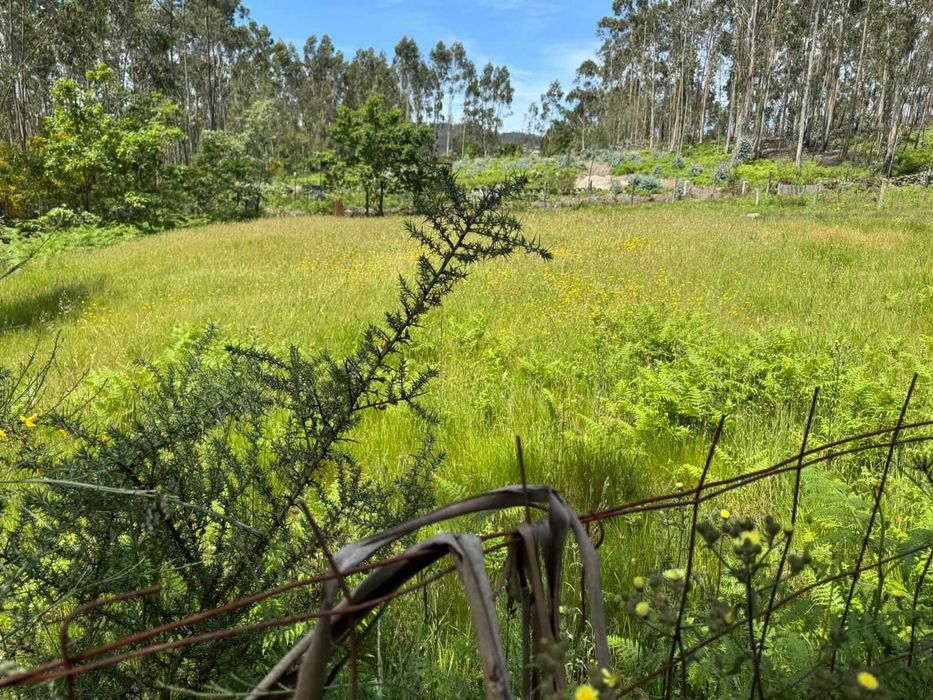 Terreno para Construção - Lamoso, Paços de Ferreira