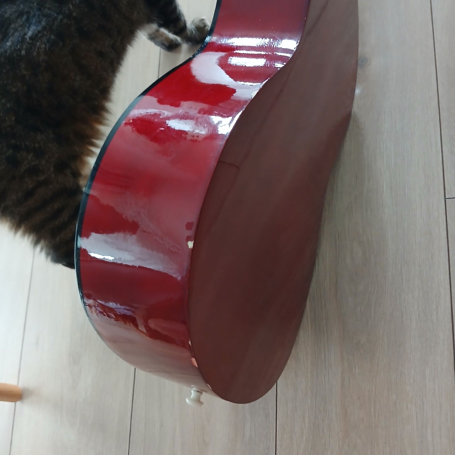 Gitara akustyczna klasyczna 3/4 CRAFTMAN akcesoria