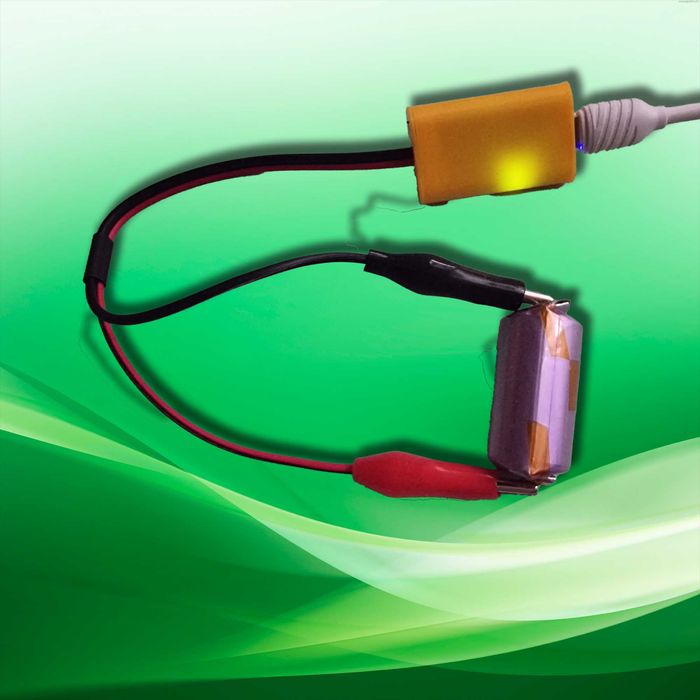 Зарядное устройство с крокодилами для литий ионных батарей