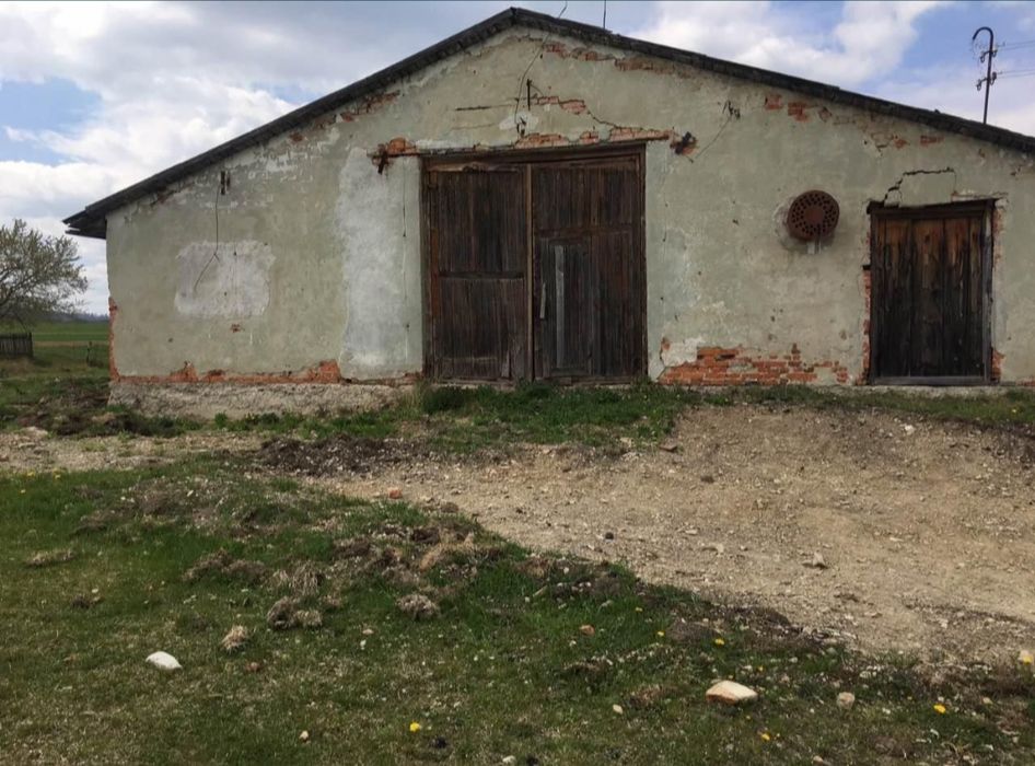 Продам або здам в оренду ферму