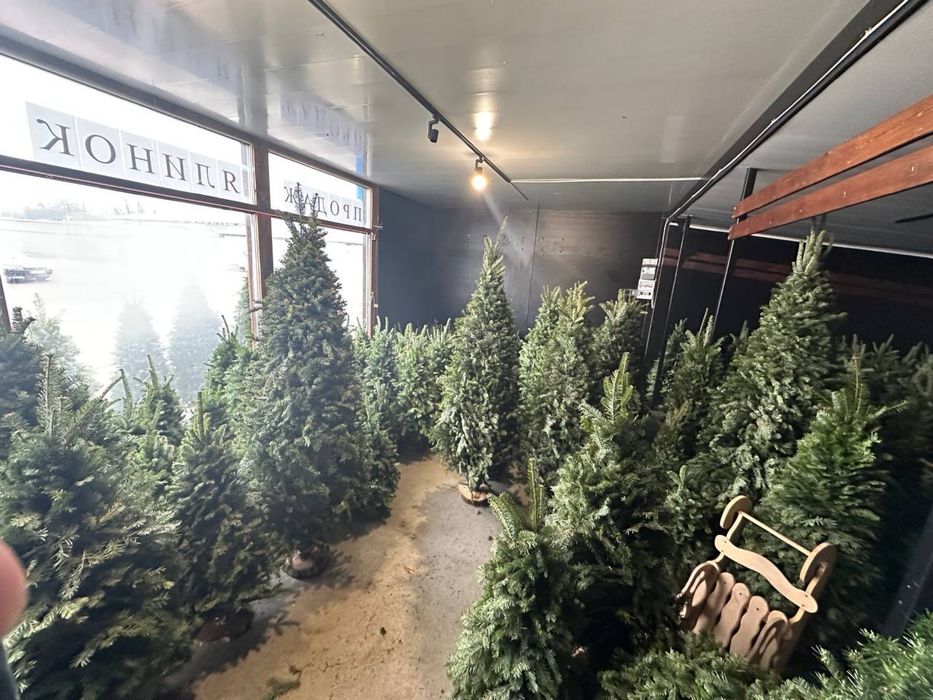 Ялинки плетені карпатські