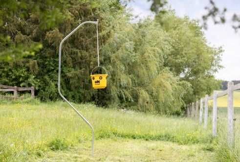 Pułapka na muchy FlyCage6, z atraktantem 200 g, Cit