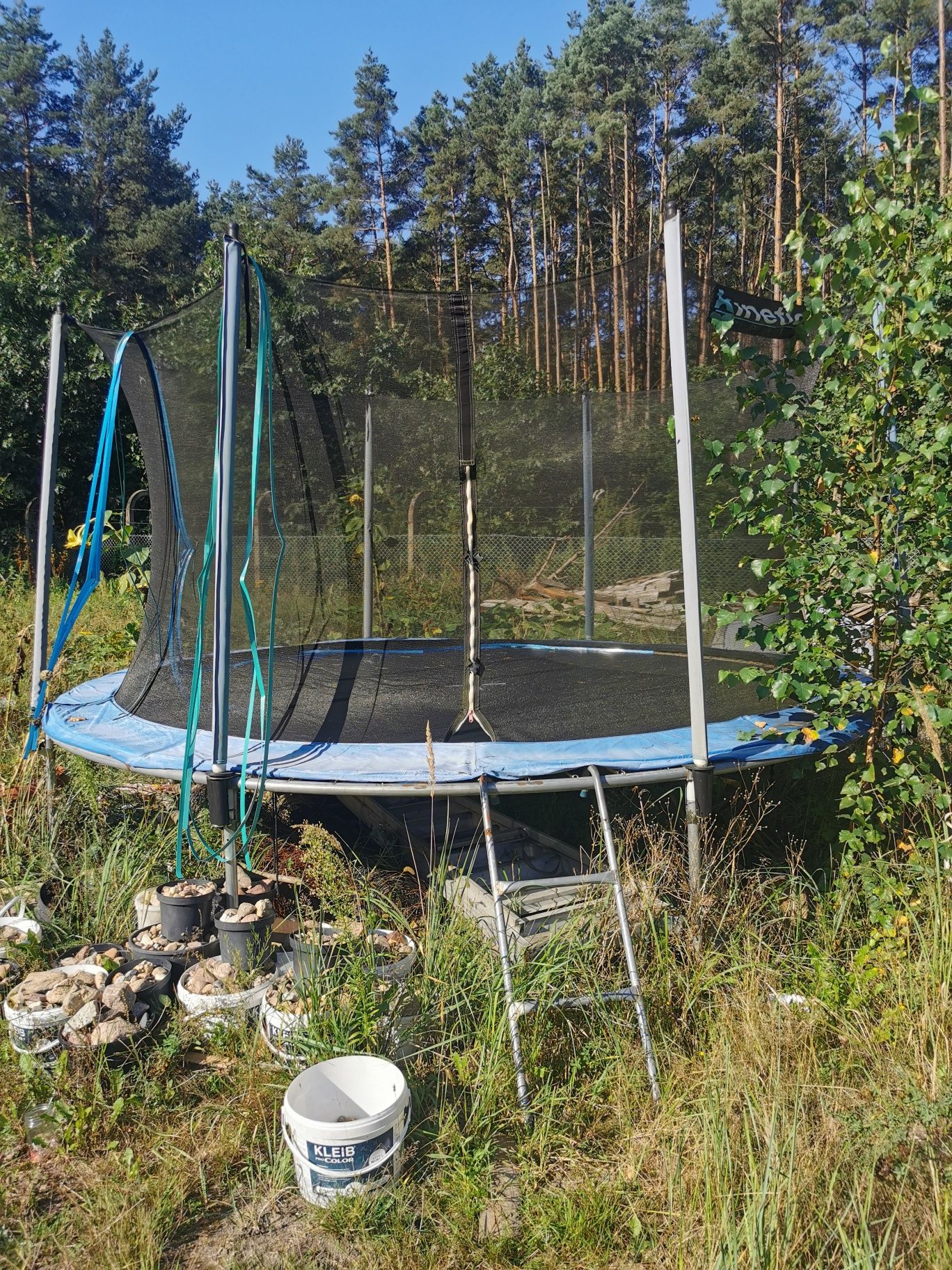 Trampolina sportowa