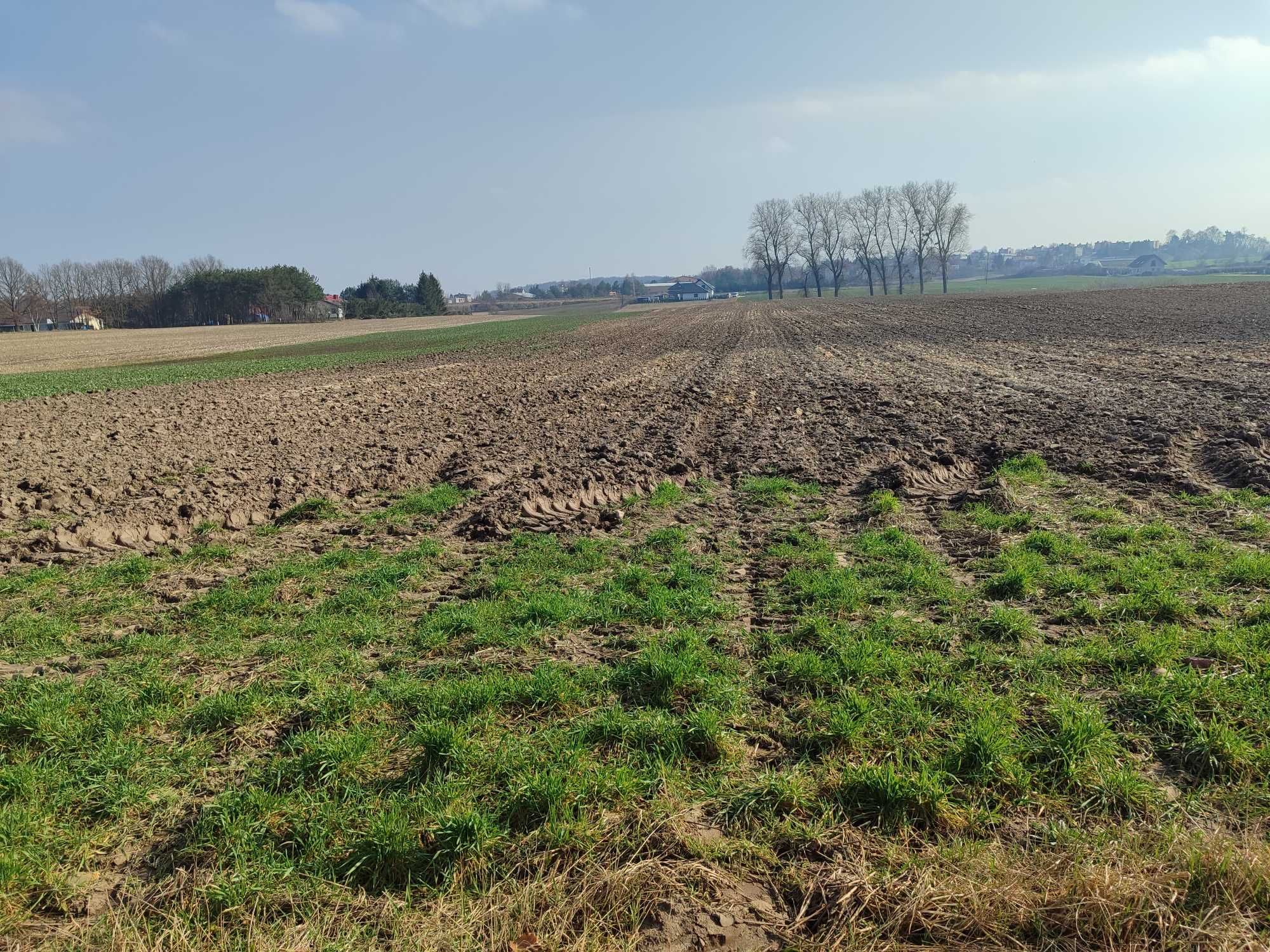 Działka budowlana !!! WITUNIA gm. Więcbork