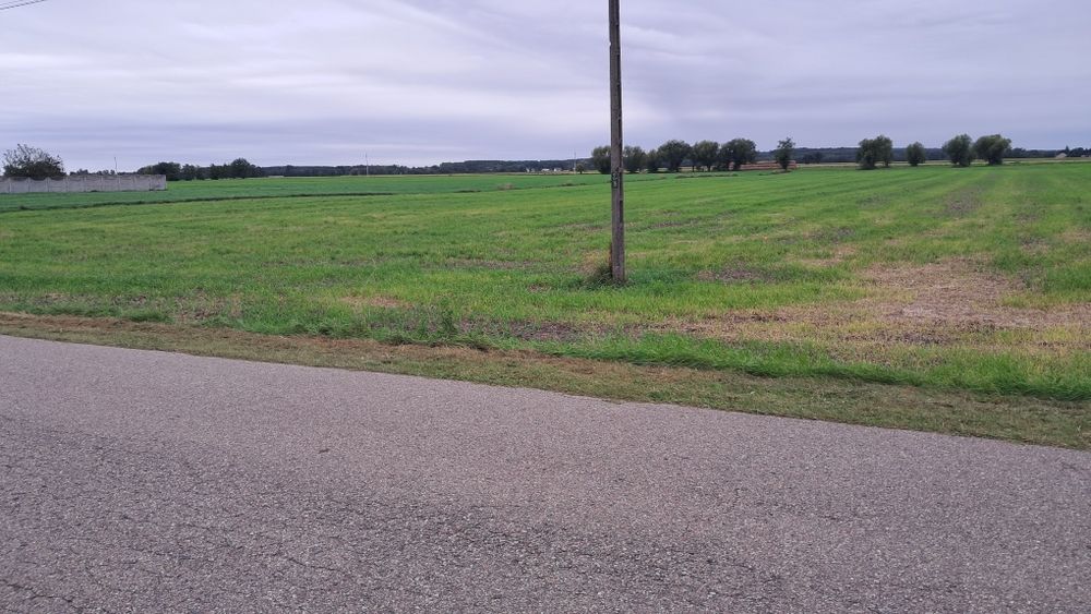 Działki na sprzedaż  z warunkami  zabudowy gmina Brudzwew