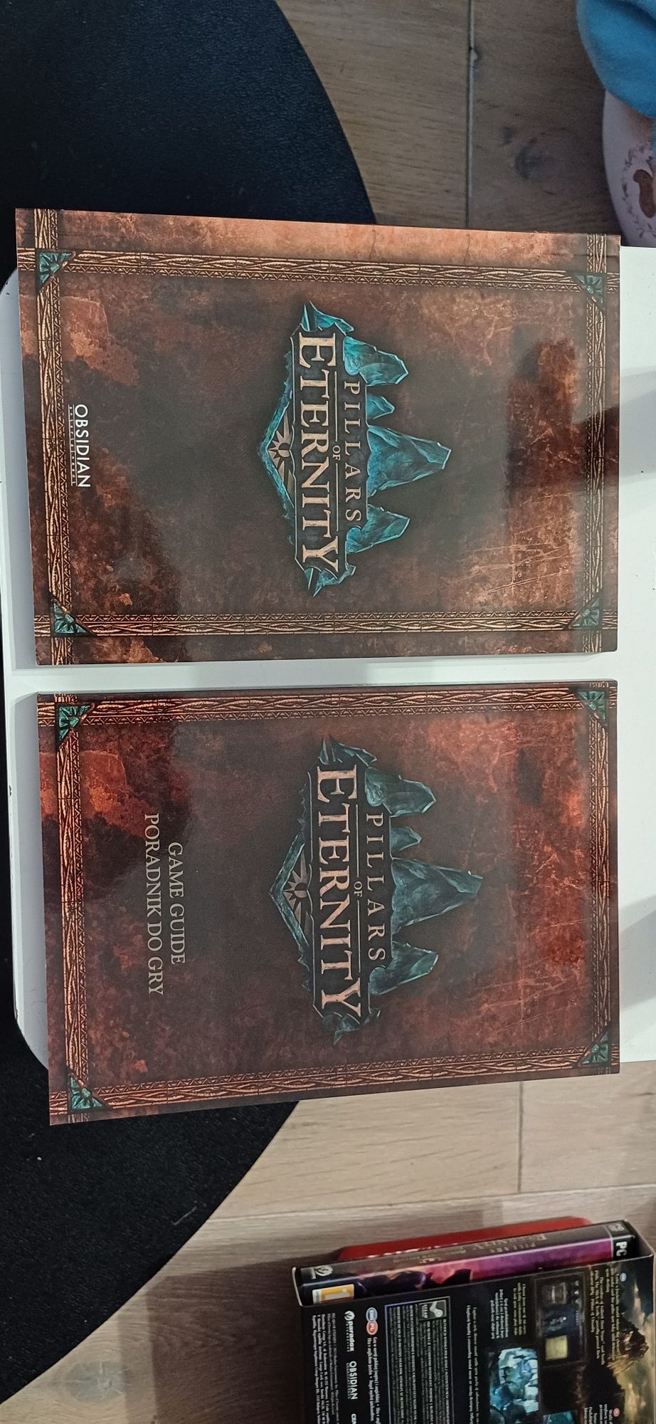 Pillars of eternity edycja awanturnika PC poradnik mapa