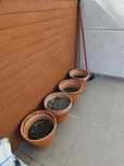 jardim vasos barro
