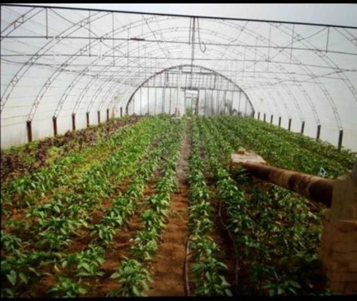 Срочно.Продам дом Одесская обл.240м.кв+агробизнес