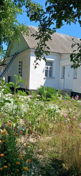 Продам   будинок