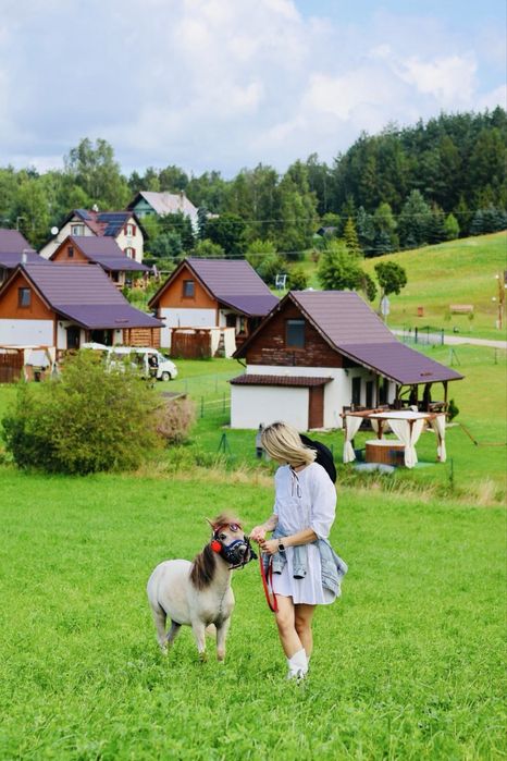 Domki Eden z balią Szwajcaria kaszubska mini zoo sauna