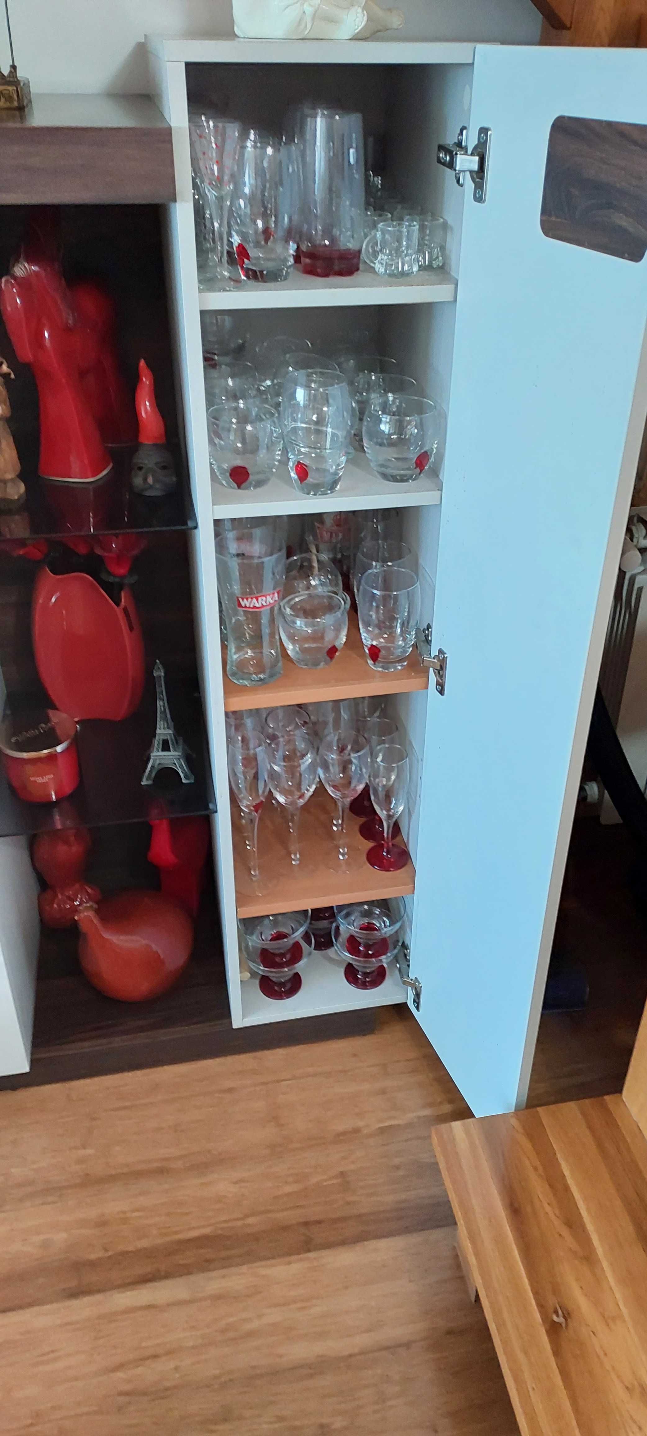 komplet witryna i stolik kawowy