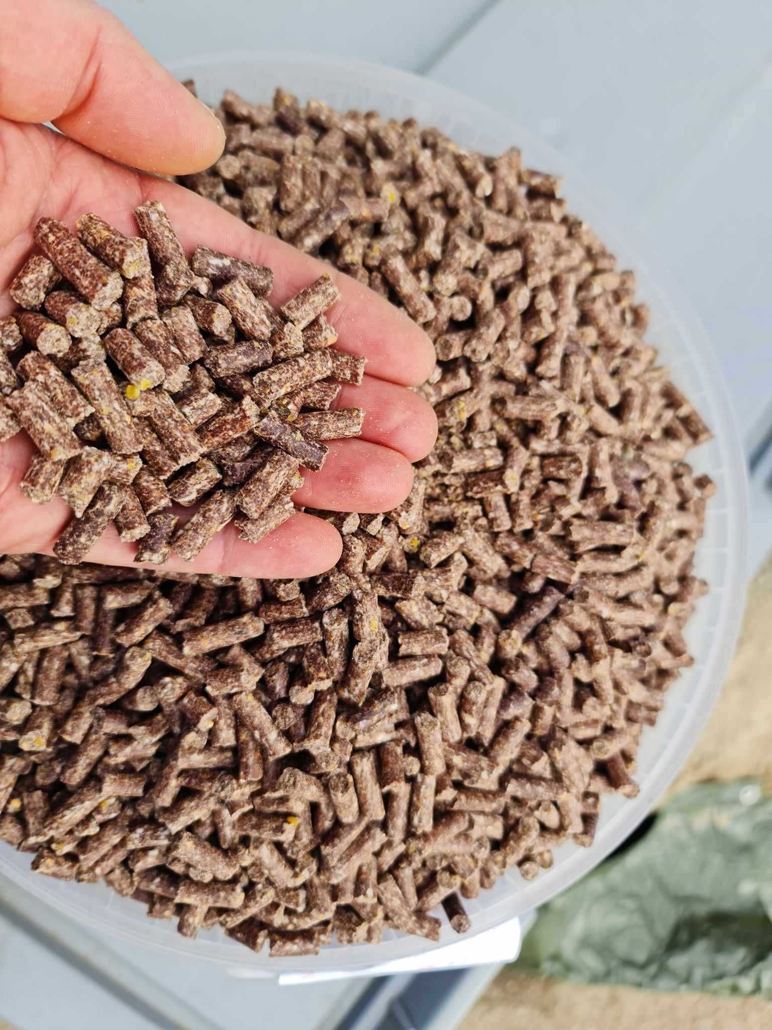 karma pasza dla ryb pellet zanętowy granulat paszowy zanęta pokarm