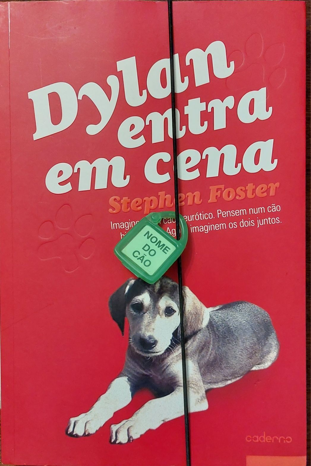 Livro: "Dylan Entra em Cena" de Stephen Foster