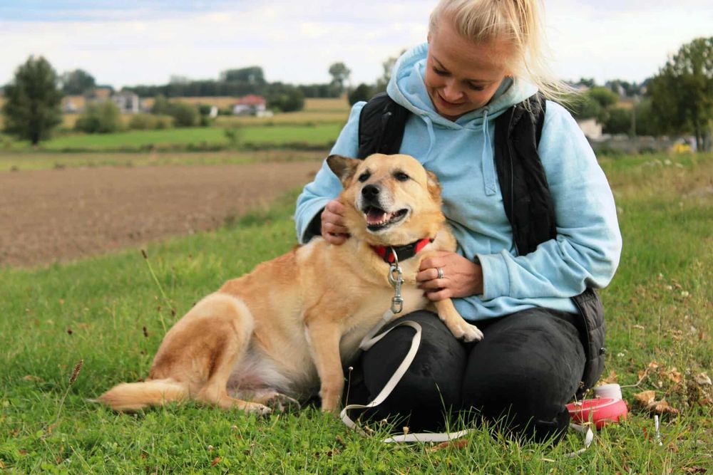 DO ADOPCJI – Gwizdek szuka domu