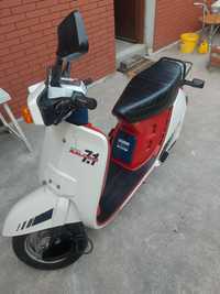 Honda lead 50 cm