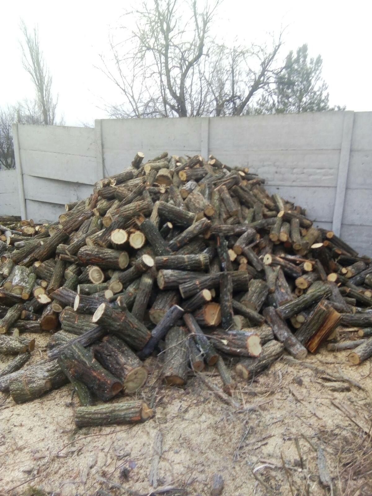 Дрова сосна, дуб, береза, акація.