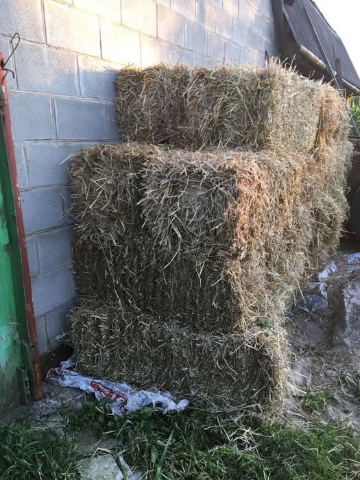Тюки соломи ячмінні