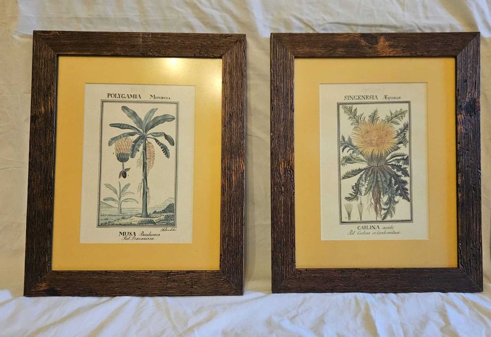 Quadros com motivos florais exóticos