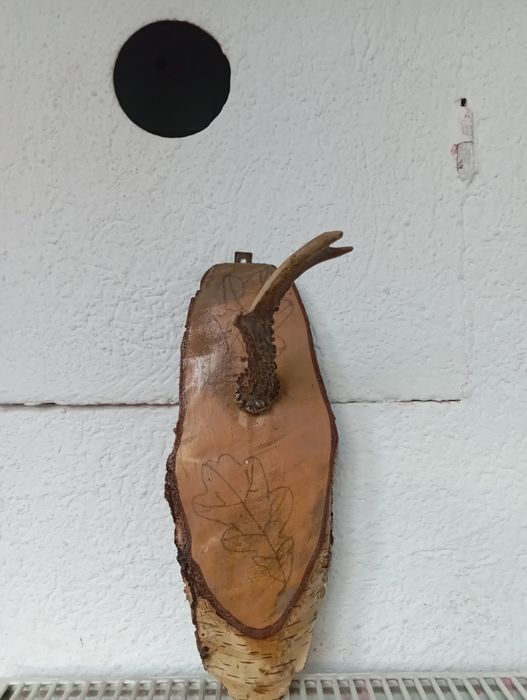 Poroże kozła sarny na drewnianej desce hand made vintage