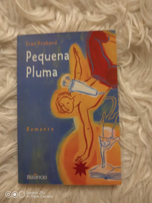 Livros Juvenis Vários