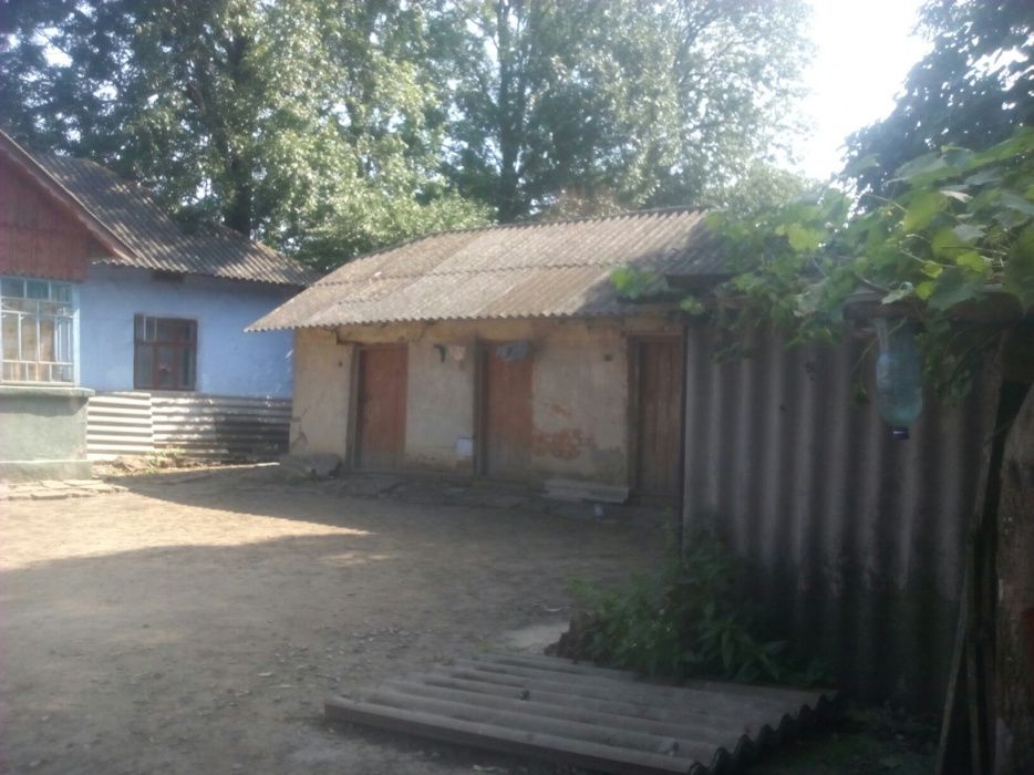 Господарство у селі Ласківці. З меблями. Увага, ціну знижено