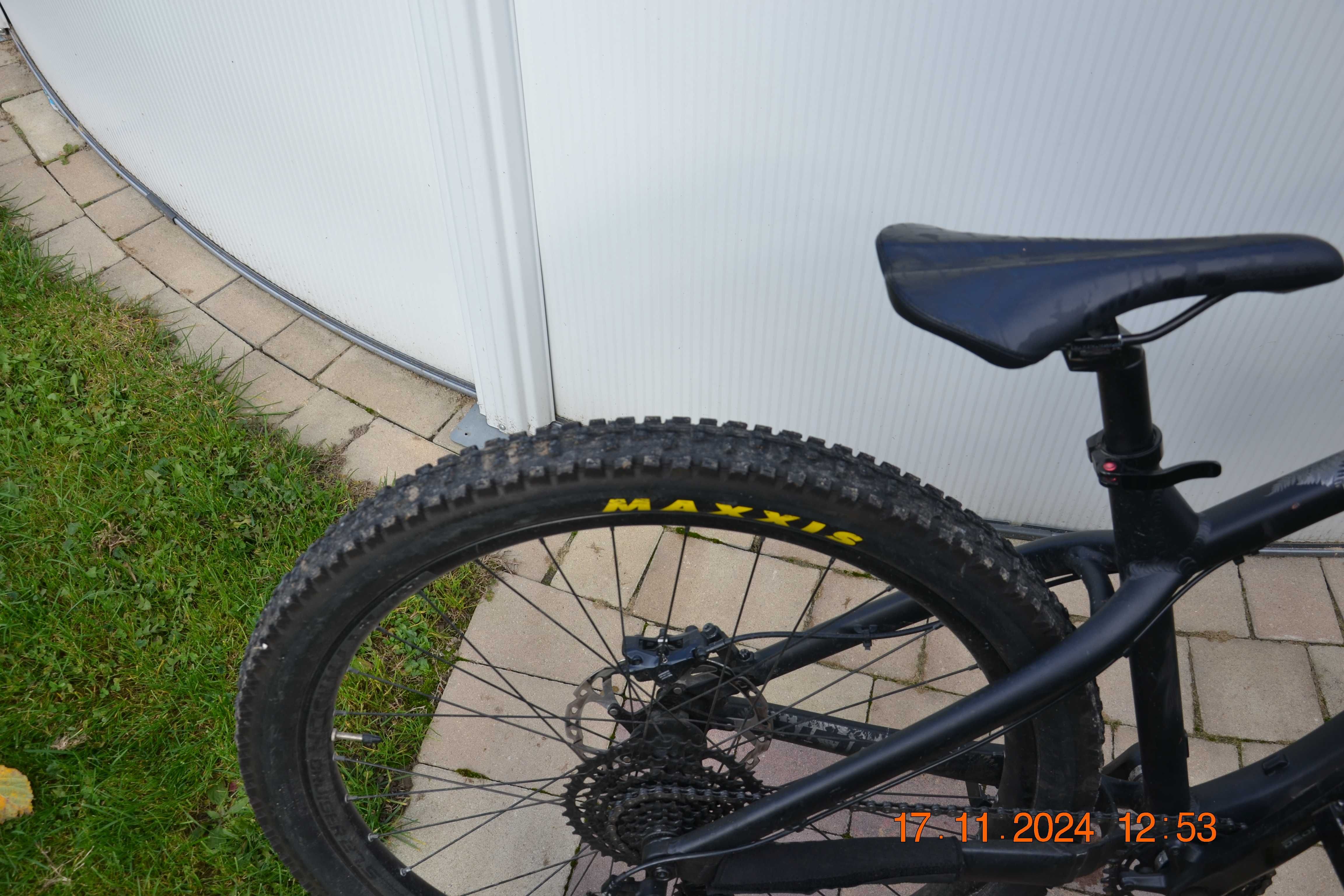 dartmoor hornet 2022 M