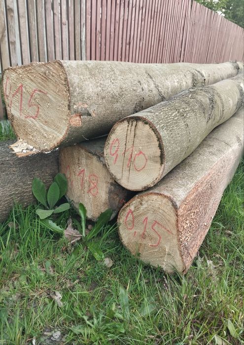 Jesion niecały kubik + lipa niecały kubik