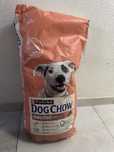 Purina Dog Chow Sensitive Salmon adult karma dla psa ok 15 kg