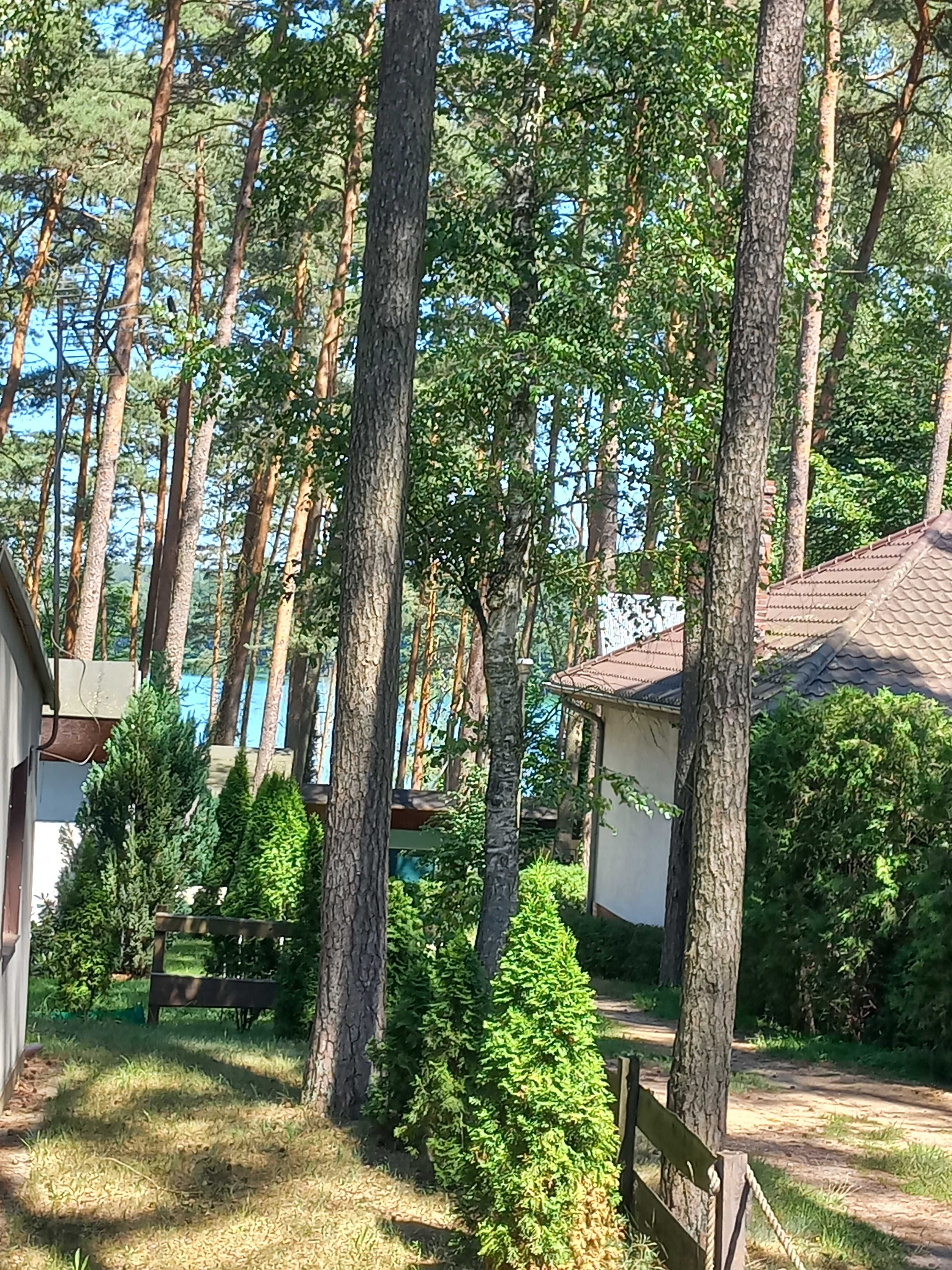 Domek w lesie   nad  jeziorem Lipie -Długie -2 osobne apartamenty