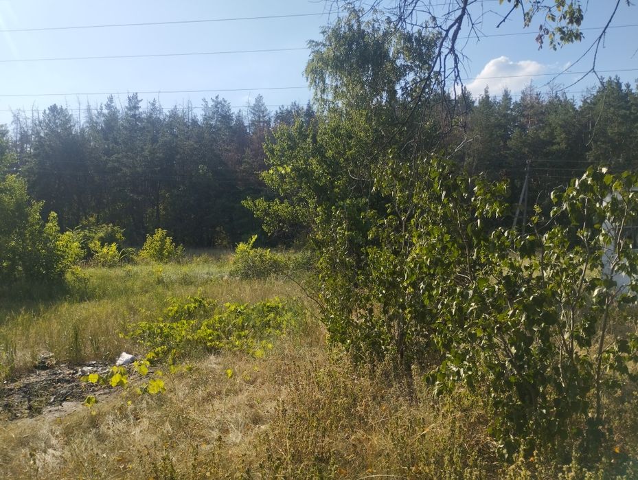 Продам будинок в центрі села