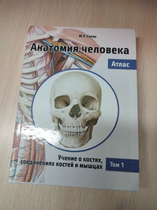 Анатомия человека. Атлас. В III томах. 2-е издание Сапин