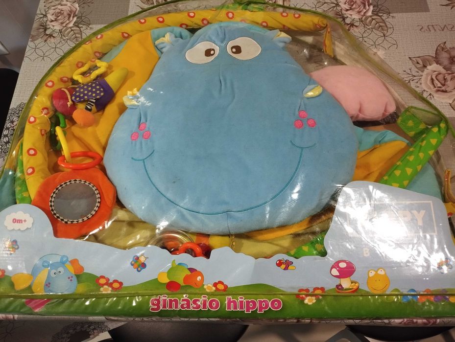 Ginásio hippo zippy