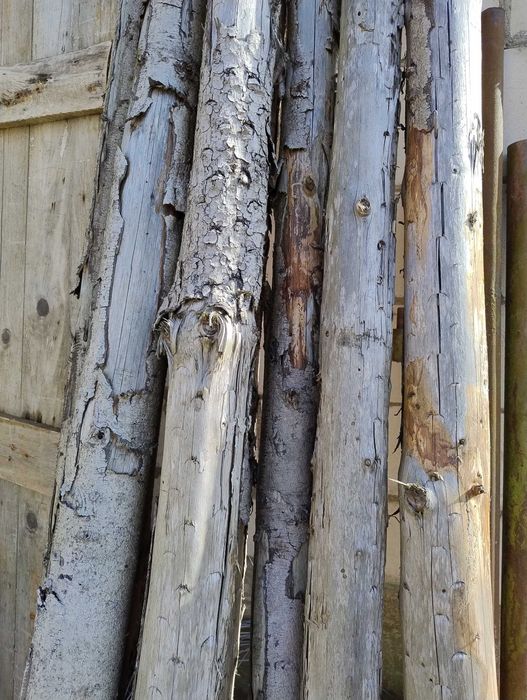 stemple budowlane podpory drągi 2.5-3m