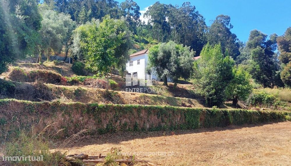 Venda de quintinha rural com 5.200m², Deão, Viana do Castelo