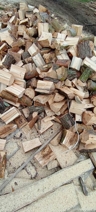 Sosna i świerk sucha, połupana