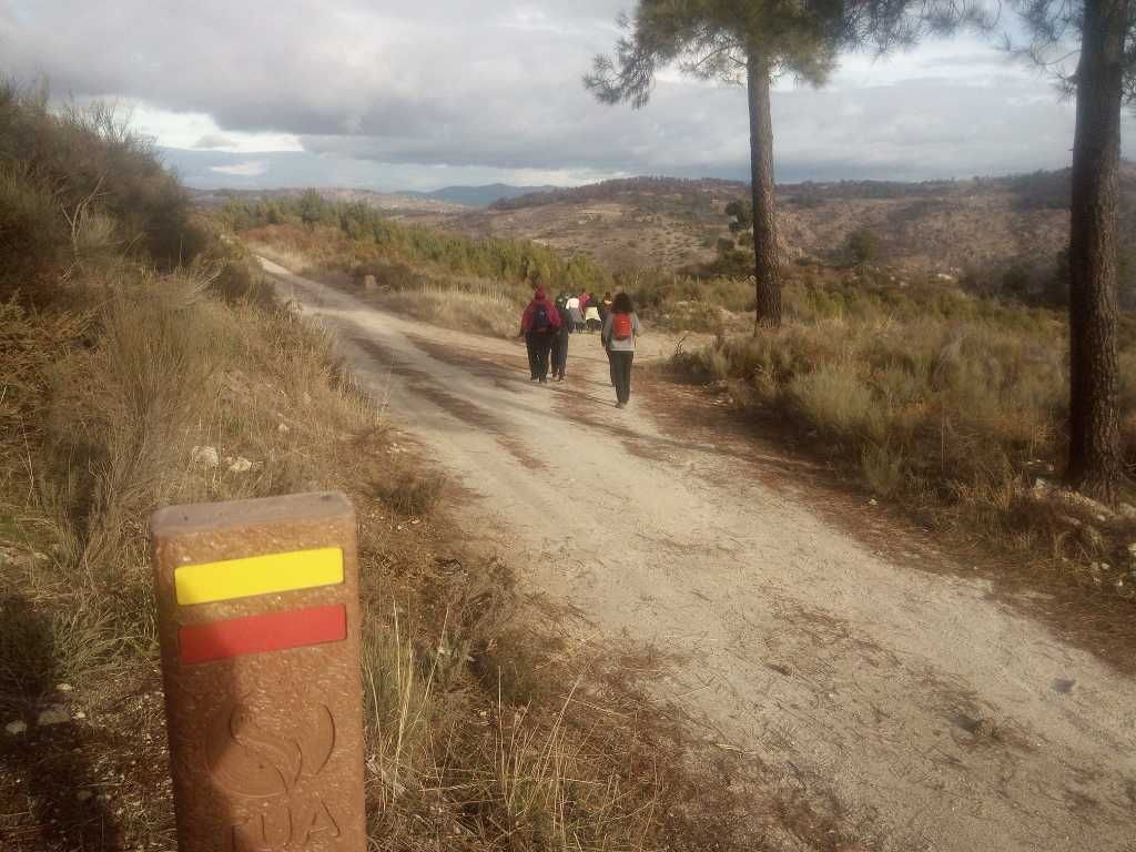 Venda de terreno rustico