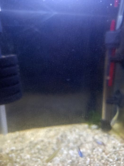 Akwarium 15L wraz z grzałką filtrem i lampą