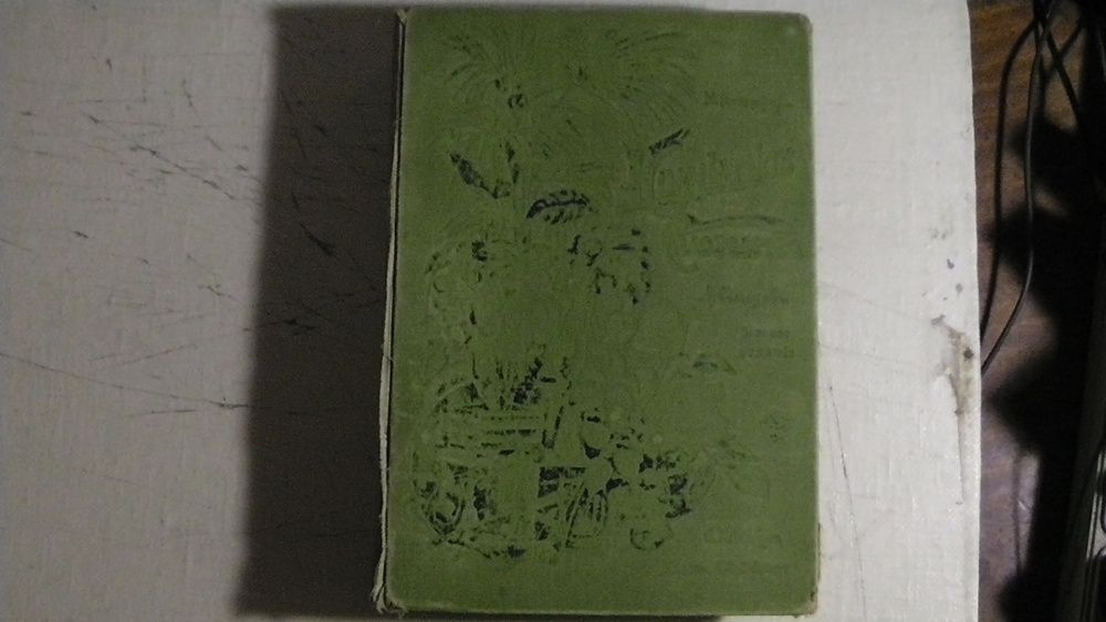Комнатное садоводство М. Гесдёрфера. 1904 г.