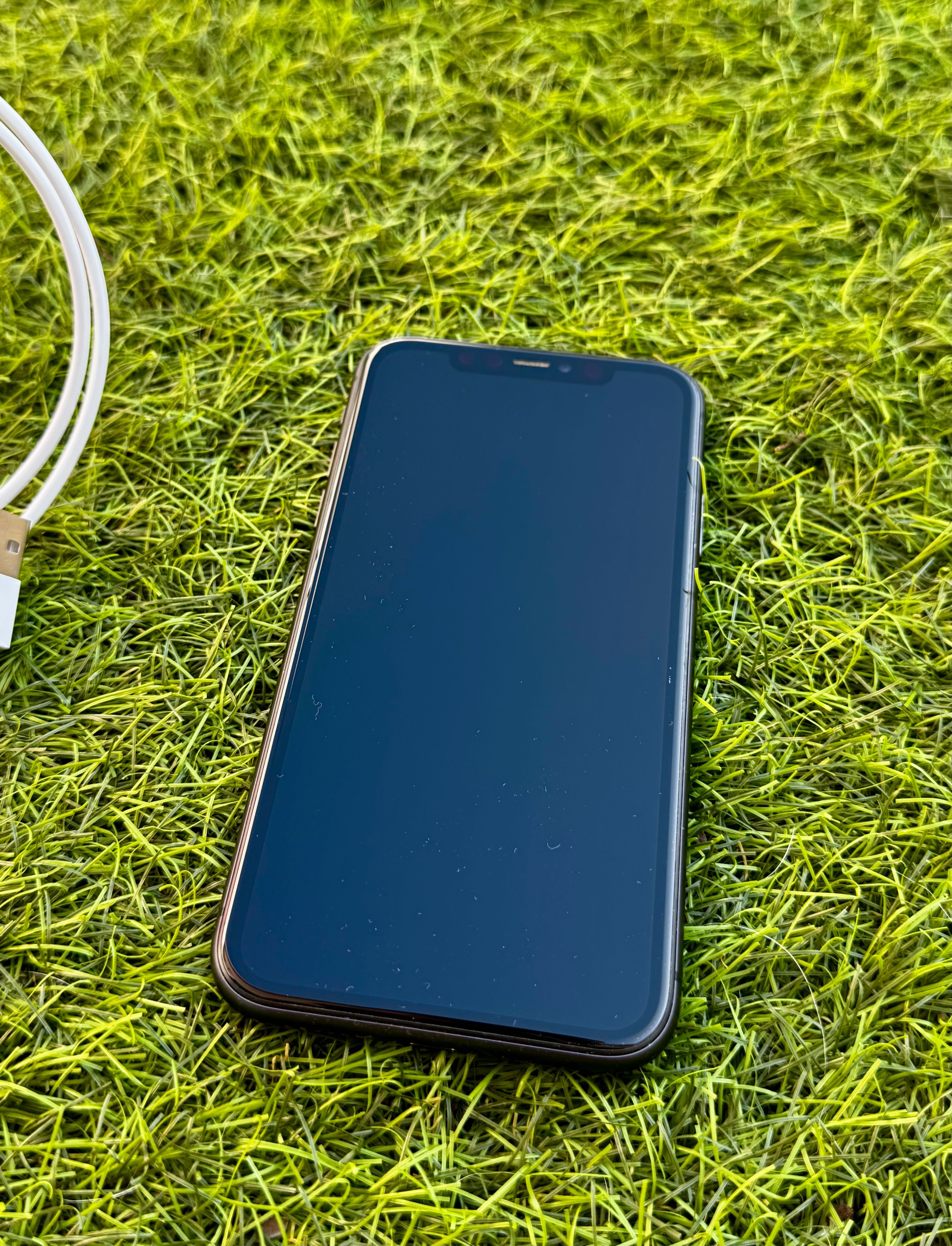 iPhone 11 + capa + (bateria nova)