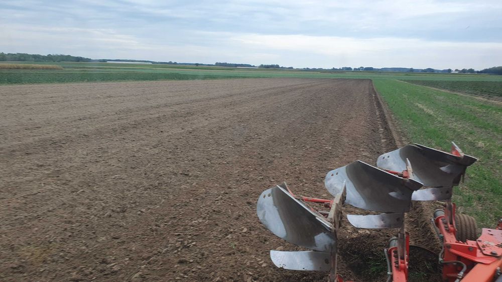 Pług obrotowy 3 skibowy maschio 2014r. ( kverneland )