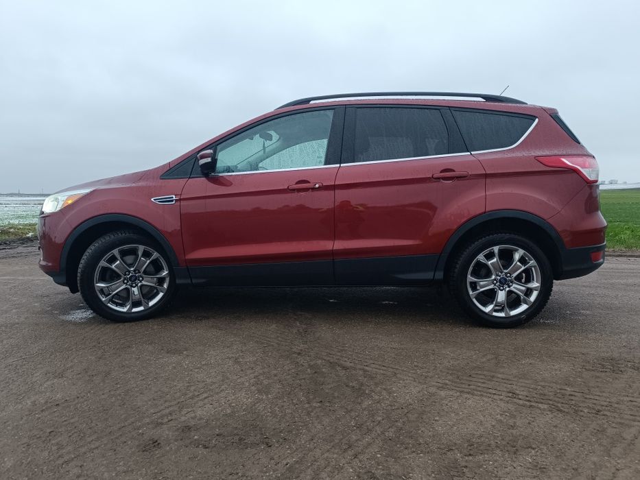 Ford Escape (Kuga)