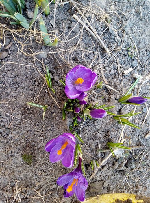 Вікно металопластикове б/у