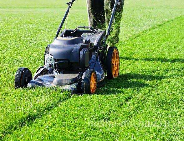 Зрізання обрізка дерев. Покос косіння трави