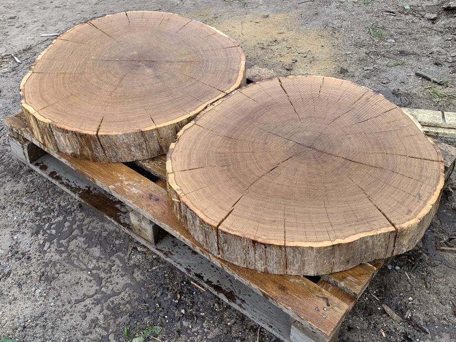 Plastry dębowe 100cm krążki na stolik kawowy żywice