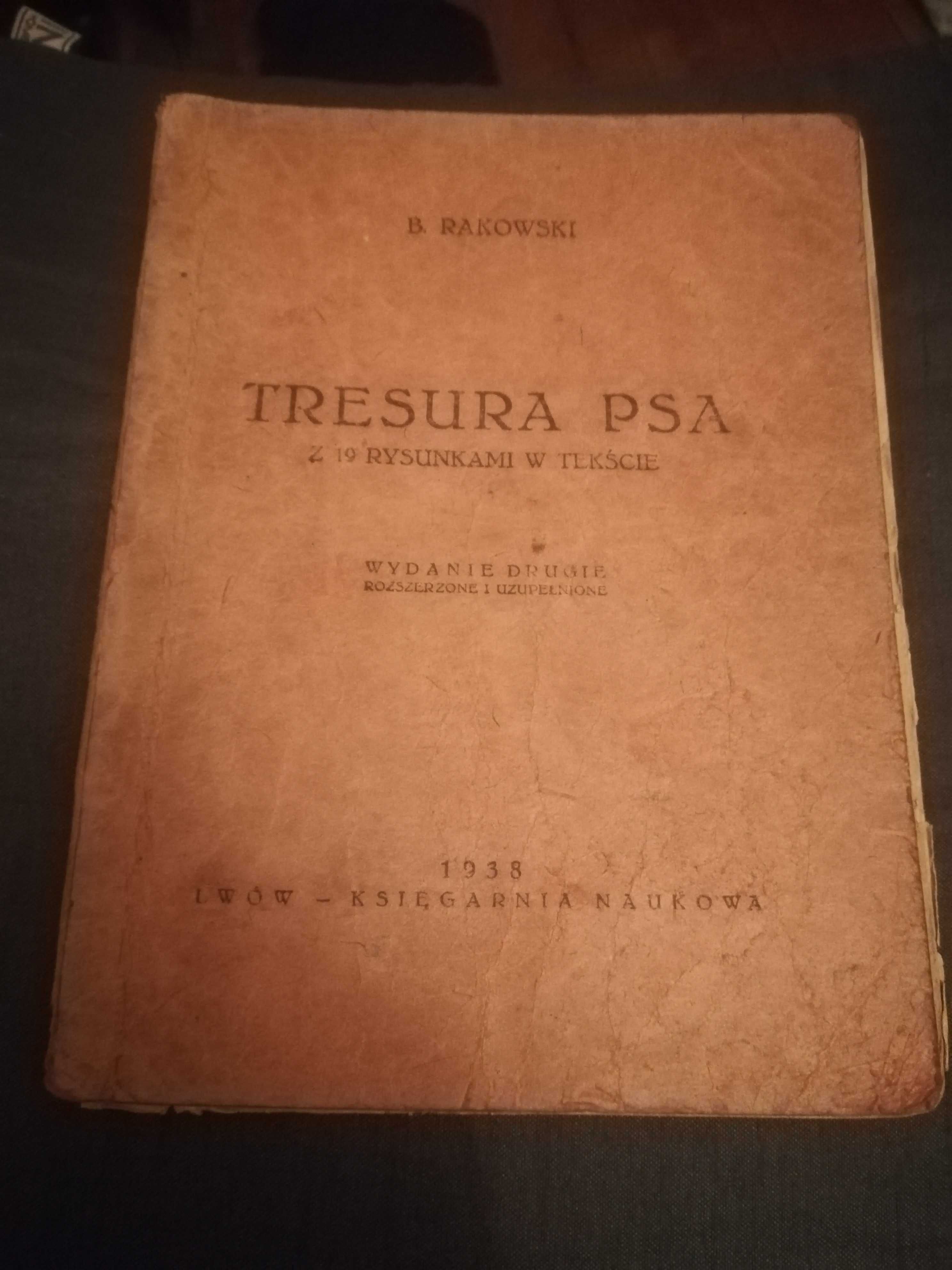 Tresura psa z 19 rysunkami w tekście B. Rakowski 1938r.