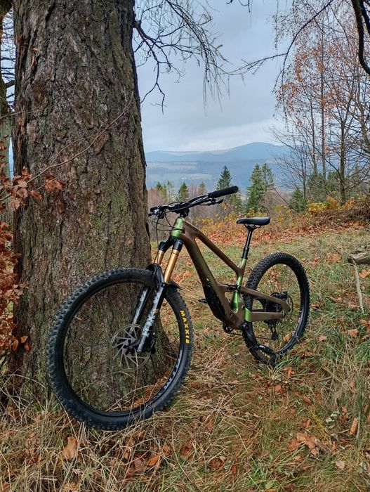Rower enduro Cannondale jekyll 1